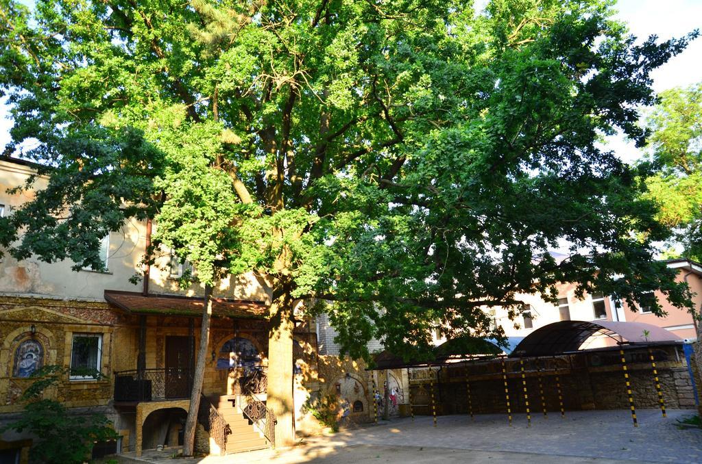 Tihaya Gavan Kherson Exterior foto